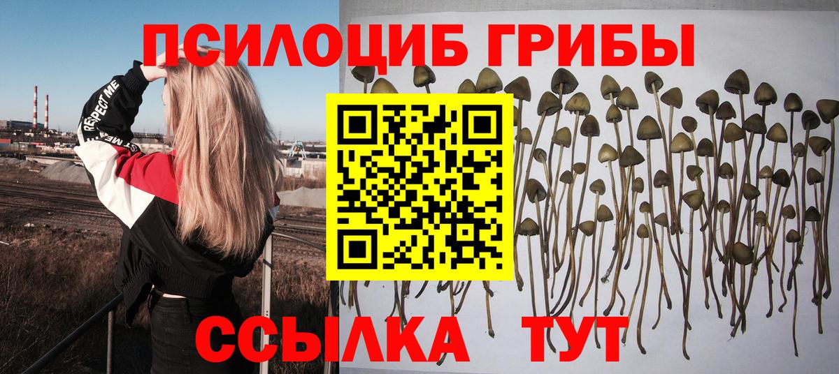 Псилоцибиновые грибы GOLDEN TEACHER  Вход с VPN  купить наркоту  Десногорск 
